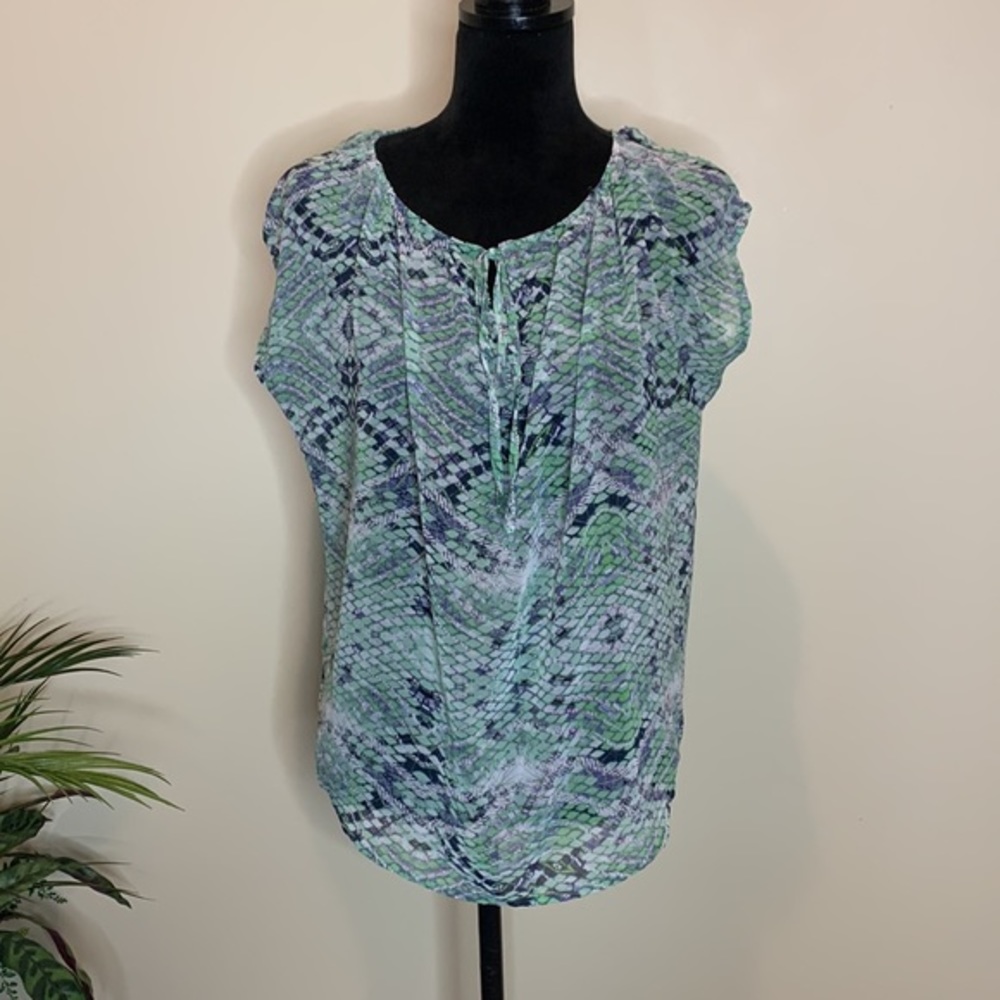 CAbi Darby semi sheer top